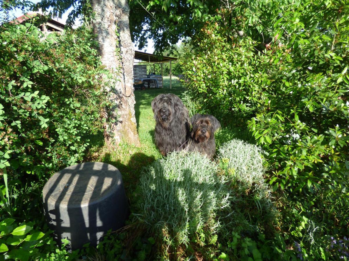 Britavit Bed & Breakfast Saint-Avit-Sénieur Eksteriør bilde