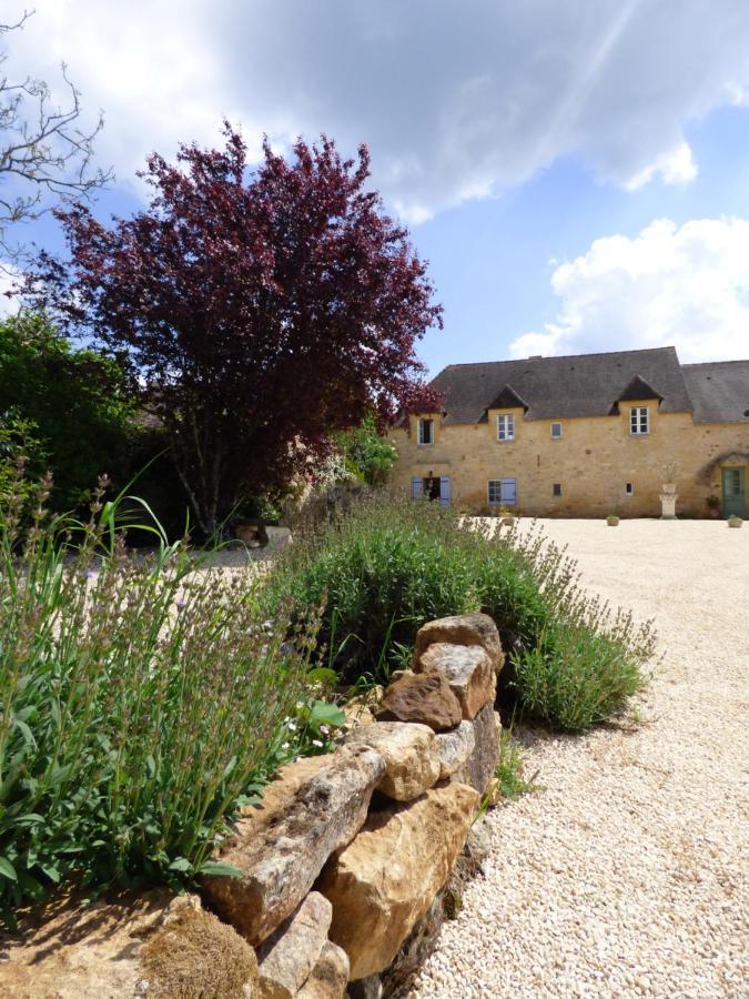 Britavit Bed & Breakfast Saint-Avit-Sénieur Eksteriør bilde