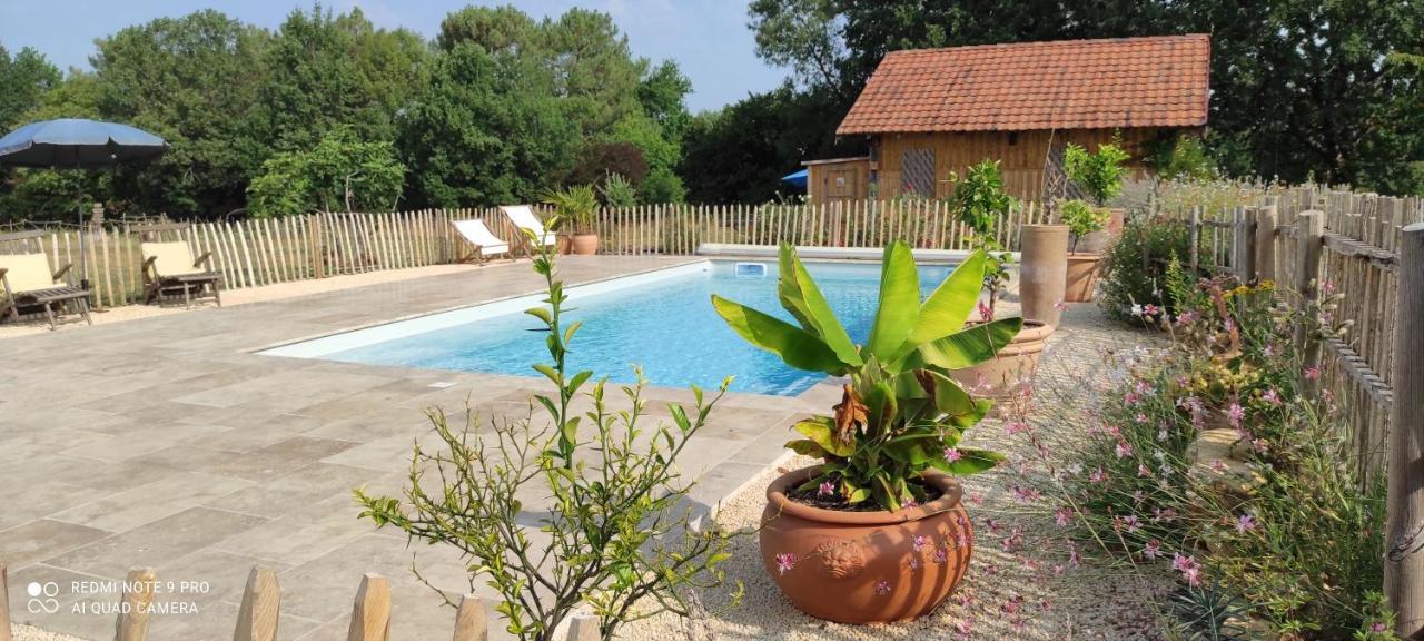 Britavit Bed & Breakfast Saint-Avit-Sénieur Eksteriør bilde